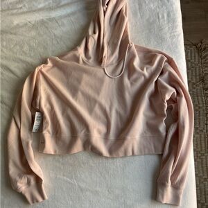 Aritzia Pink Cropped Hoodie